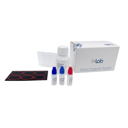 Rubella (Rubéole) Latex (100 tests)
