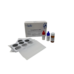 Toxoplasma Latex (100 tests)