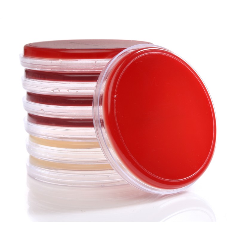 AgaPure Agarose qualité Biologie moléculaire (500g)