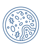 Microbiologie