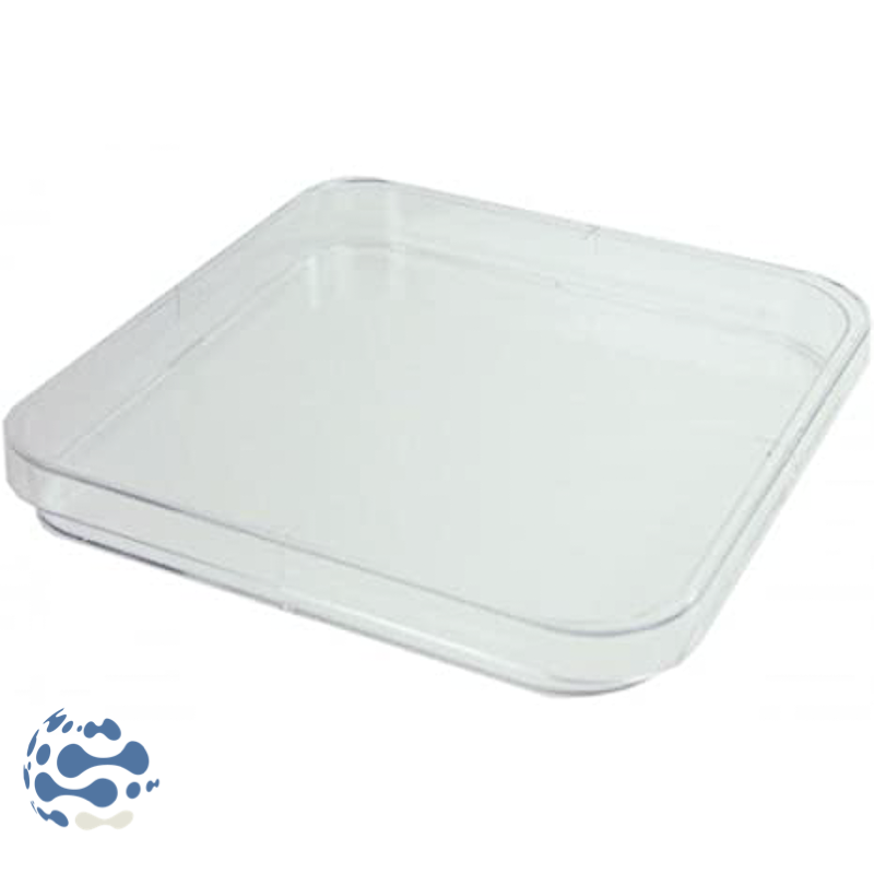 Sitemapcdatahttpsstileinfbizidbaignoire Carree 120x120